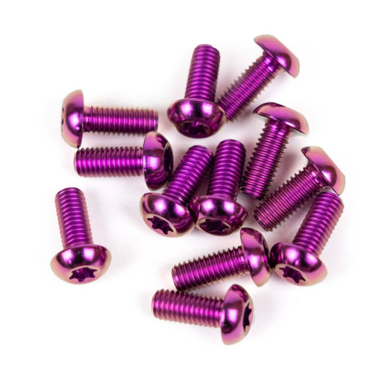 Stridsland - Ti M5 Bolt (purple/12pcs)